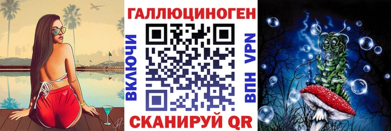 Галлюциногенные грибы Psilocybine cubensis  Клинцы 
